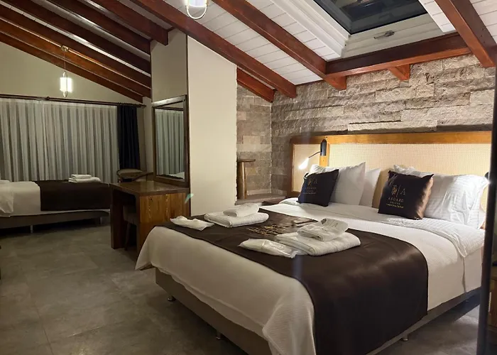 ホテル Asgard Deluxe *